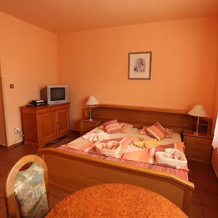 Domino Penzion 4*